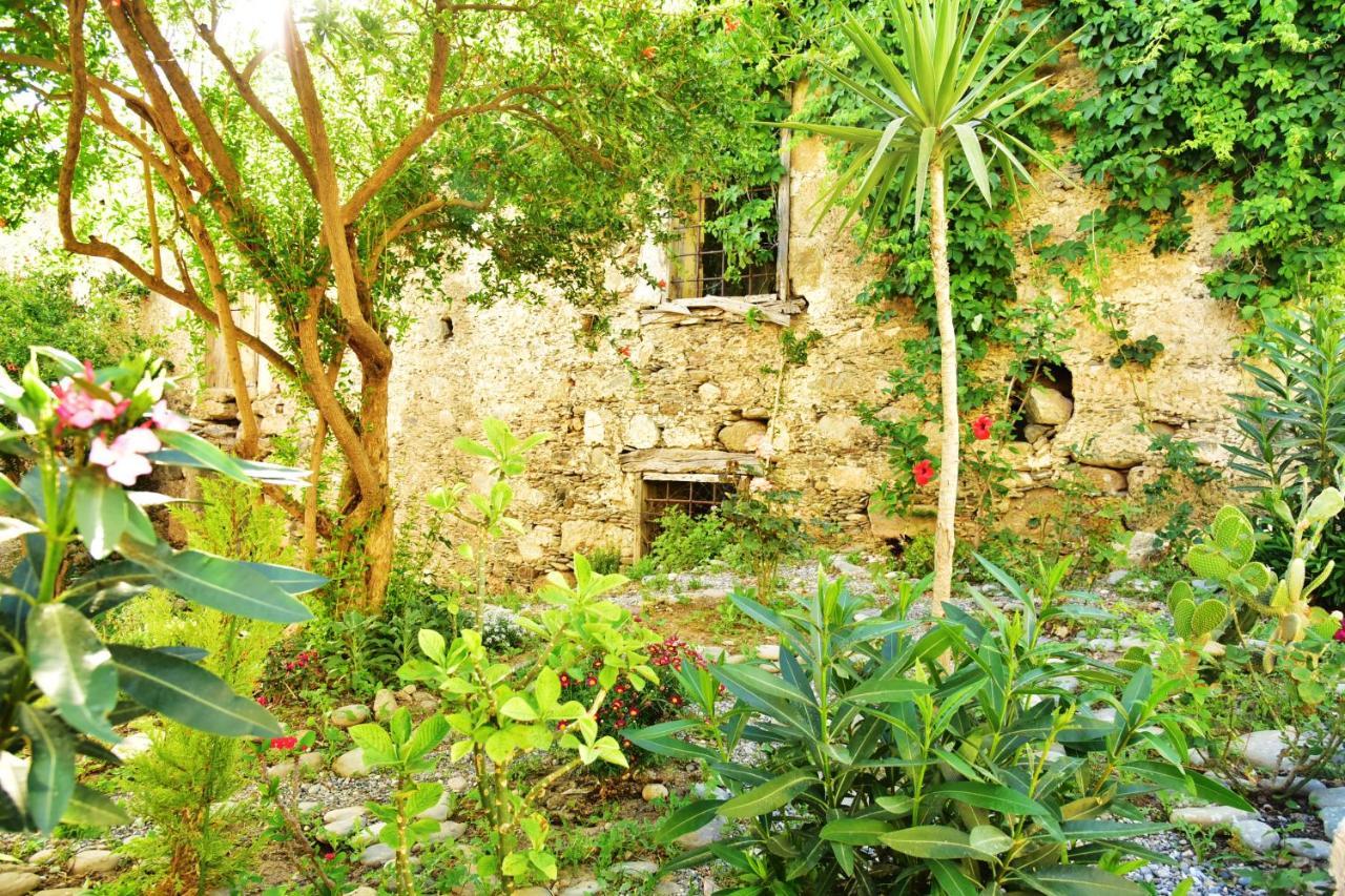 Pension Irene Sougia Bagian luar foto