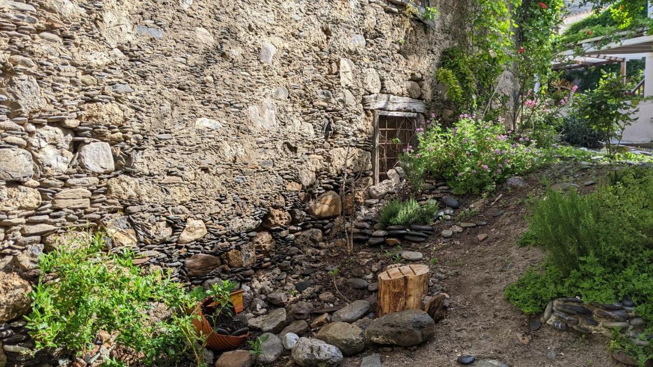 Pension Irene Sougia Bagian luar foto